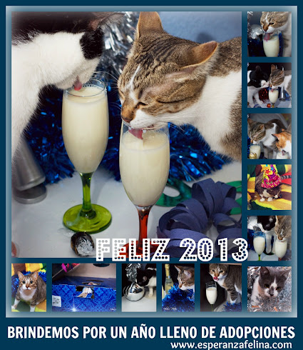 ¡ FELIZ AÑO 2013 ! PicMonkey Collage 2